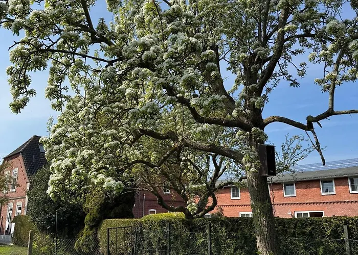 Bauernhuus 6 Lägenhet